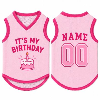 Custom Dog Birthday Jersey, Personalized Pet Birthday Shirt, It's My Birthday Dog Outfit, Name Number Pet Clothing, Birthday Pet Shirt