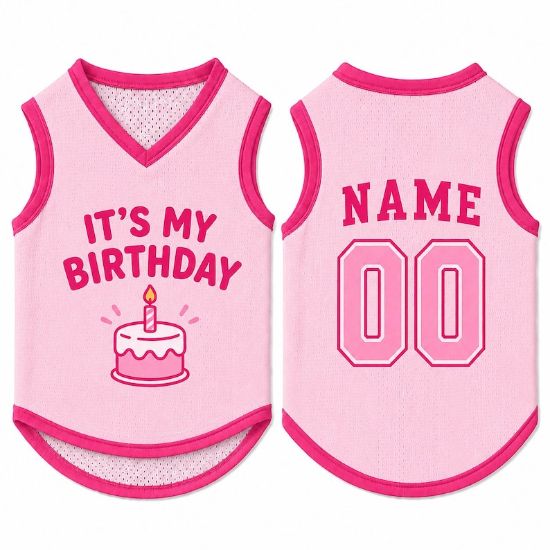 Custom Dog Birthday Jersey, Personalized Pet Birthday Shirt, It's My Birthday Dog Outfit, Name Number Pet Clothing, Birthday Pet Shirt