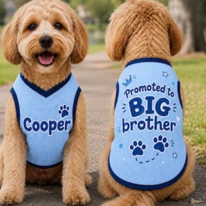 Promoted to Big Brother Dog Jersey, Personalized Puppy Shirt, Baby Announcement Pet Outfit, Custom Puppy Sibling Reveal Clothes, Photo Props