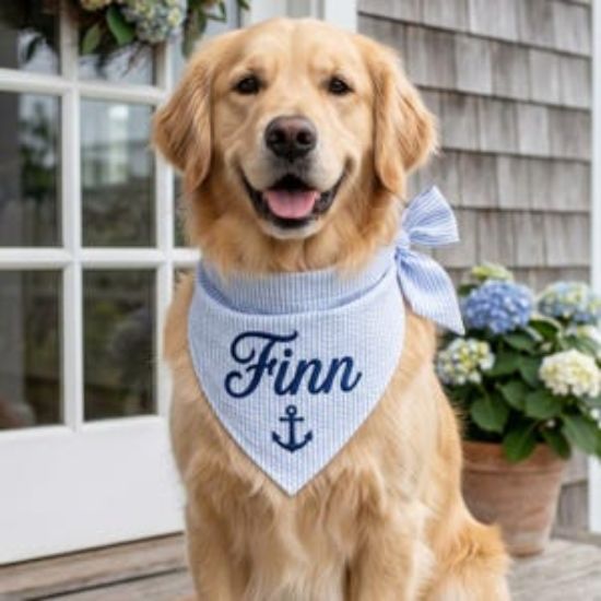Embroidered Nautical Dog Bandana, Custom Embroidered Pet Bandana, Seersucker Puppy Bandana, Anchor Dog Scarf Gift, Dog Cat Bandana