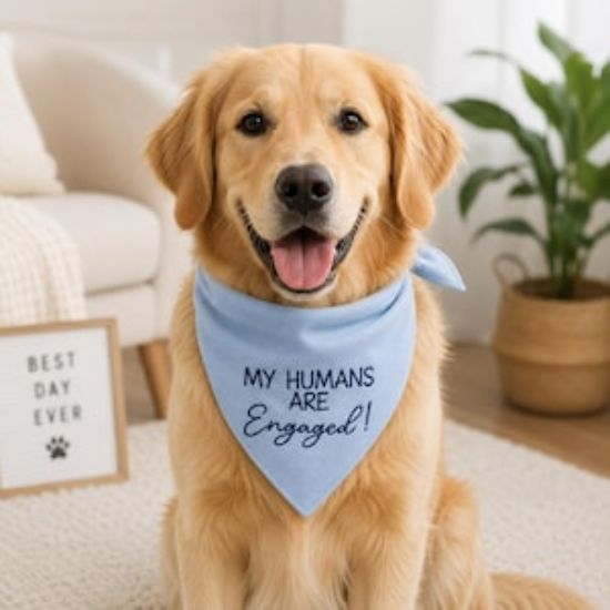 Custom Engaged Dog Bandana, My Humans Are Engaged Pet Scarf, Embroidered Wedding Doggie Bandana, Engagement Reveal Dog Gift, Cat Bandana