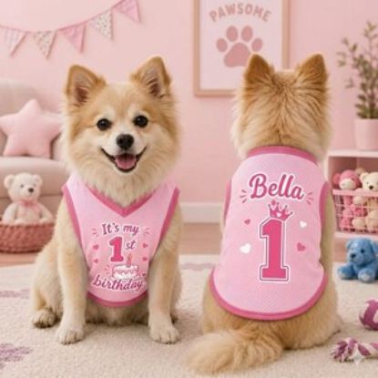 Custom Birthday Girl Dog Shirt, Personalized Pet Birthday Jersey, Custom Name Number Dog Cat Clothes, Cute Puppy Cat Birthday Shirt Outfit