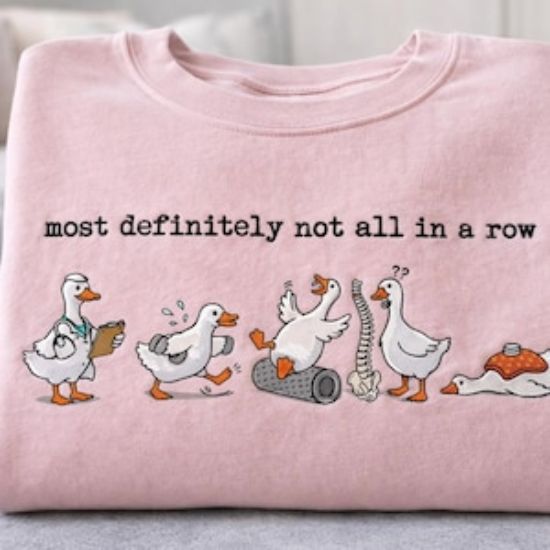 Funny Physical Therapy Embroidered Shirt, Goose PT Crewneck, Physical Therapist PTA Student Graduation, Rehab Humor, Not All In A Row Shirt
